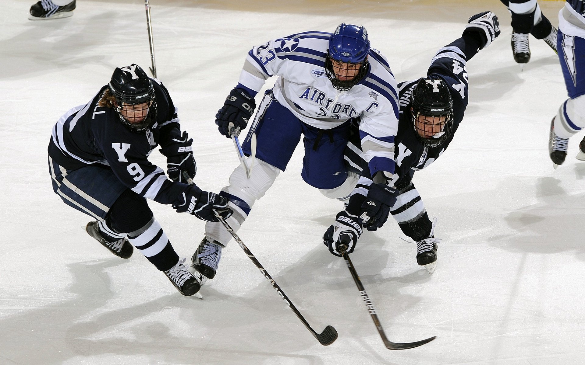 城市夜光水上风筝节，灯火闪耀中的空中盛会