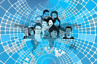 开云体育中国官方网站-美国队赛制分析：赛制中的人员调整与战术变化，美国队训练赛